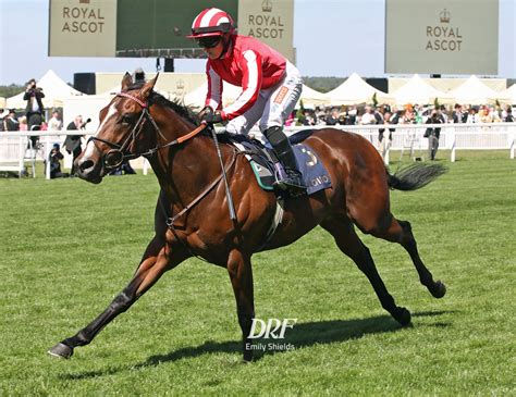 drf. com|Daily Horse Racing Results .